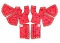 3”Gaura nitai Dress